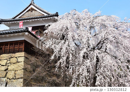 長野県上田市 上田城跡公園の北櫓と石垣と満開桜 長野県上田市 上田城跡公園の北櫓と石垣と満開桜 130312812