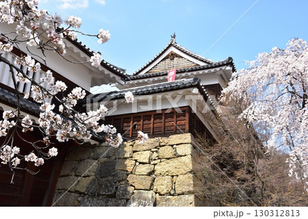 長野県上田市　上田城跡公園の北櫓と東虎口櫓門と満開桜 130312813