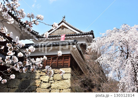 長野県上田市 上田城跡公園の北櫓と東虎口櫓門と満開桜 長野県上田市 上田城跡公園の北櫓と東虎口櫓門と満開桜 130312814