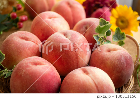 川中島白桃(1) 130313150