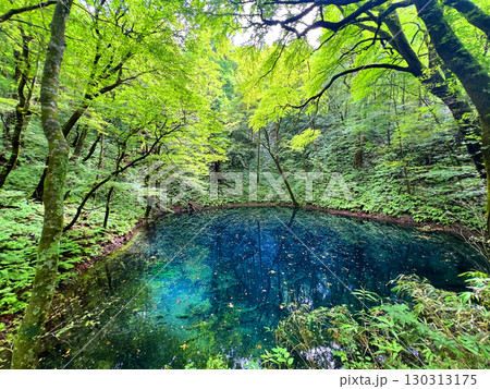 十二湖・青池 130313175