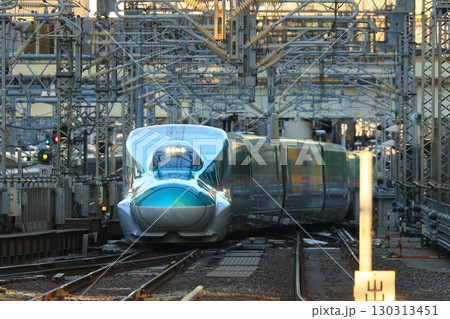 東京駅に入線してくる東北新幹線はやぶさ 130313451
