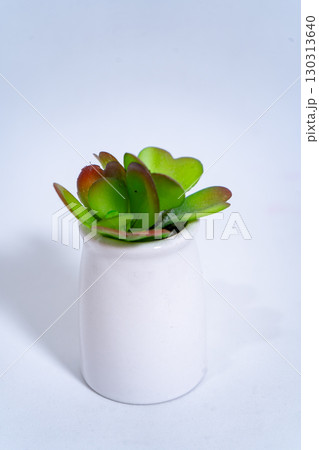 Small artificial succulent plant in white ceramic pot on white background 130313640