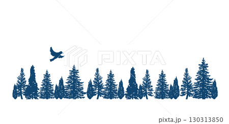 森と鳥。針葉樹林の森の景色／シルエット。 130313850