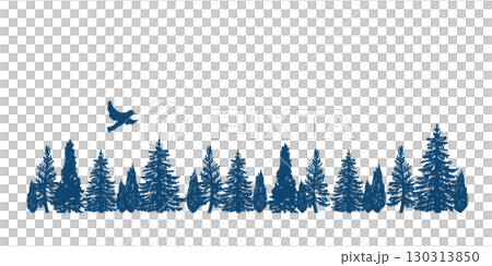 Forest and birds. Coniferous forest landscape/silhouette. Forest and birds. Coniferous forest landscape/silhouette. 130313850