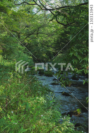 軽井沢 軽井沢 130313943