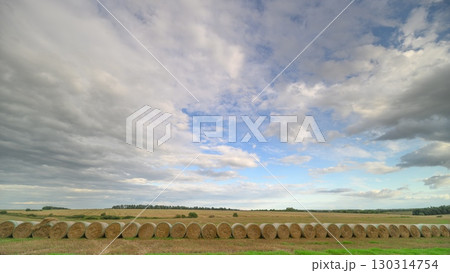 A serene landscape featuring hay bales beautifully arranged beneath a dramatic sky backdrop A serene landscape featuring hay bales beautifully arranged beneath a dramatic sky backdrop 130314754