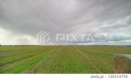 A serene agricultural landscape exudes a profound calmness, with stunning clouds hovering above 130314756