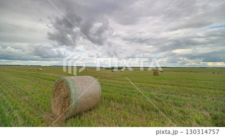 Beautiful Rolls of Hay Spread Across a Serene Landscape Under a Moody Cloudy Sky 130314757