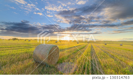 A Beautiful Sunset Gracefully Spread Over Fields of Golden Grain, Adorned with Hay Bales A Beautiful Sunset Gracefully Spread Over Fields of Golden Grain, Adorned with Hay Bales 130314763