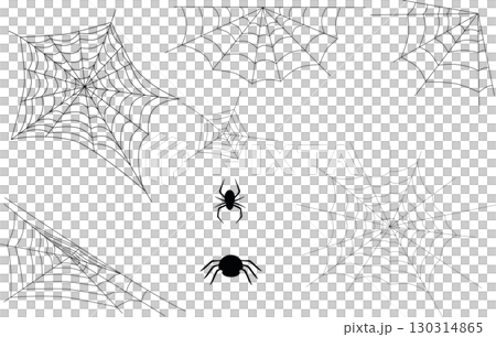 spider, cobweb, vector 130314865