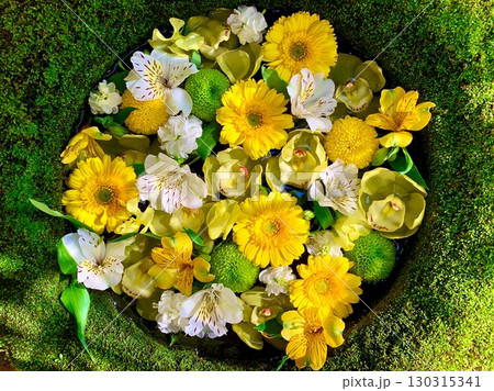 2月の花手水(ガーベラ・シンビジウム・アルストロメリア・ピンポンマム)〈菅生神社/愛知県岡崎市〉 130315341