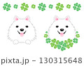 白い犬と四葉 130315648