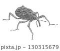 オオゾウムシ＿鉛筆画 130315679
