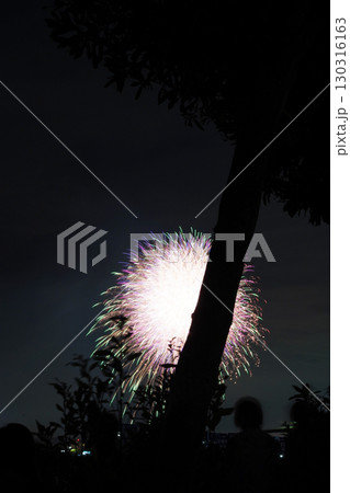 千葉県 木更津港まつり花火大会 千葉県 木更津港まつり花火大会 130316163