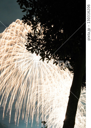 千葉県 木更津港まつり花火大会 千葉県 木更津港まつり花火大会 130316206
