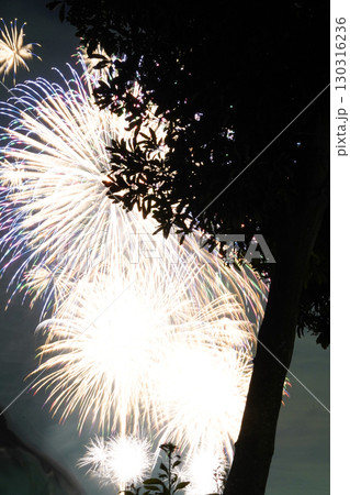 千葉県 木更津港まつり花火大会 千葉県 木更津港まつり花火大会 130316236