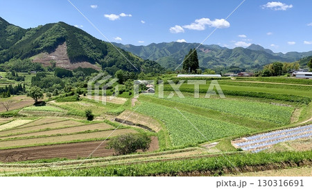 五月晴れの青空に映える栃又棚田〈宮崎県西臼杵郡高千穂町〉 130316691