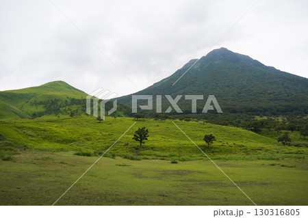 大分県　湯布院　由布岳　やまなみハイウェイ 130316805