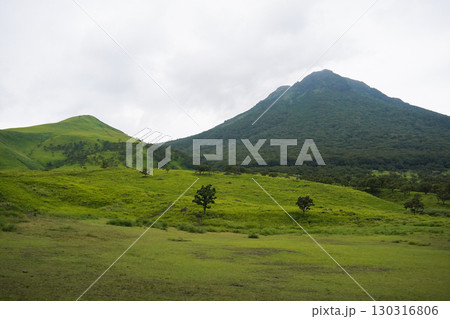 大分県　湯布院　由布岳　やまなみハイウェイ 130316806