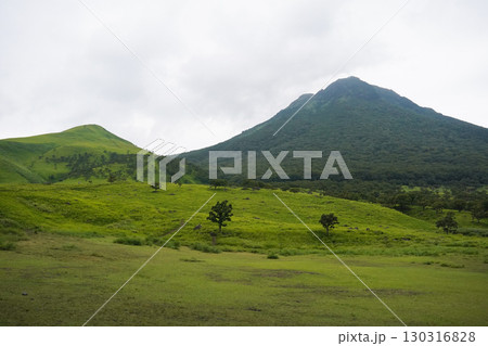 大分県 湯布院 由布岳 やまなみハイウェイ 大分県 湯布院 由布岳 やまなみハイウェイ 130316828