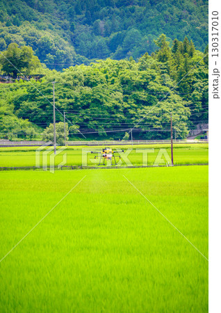ドローンによる農薬散布【水田】 ドローンによる農薬散布【水田】 130317010