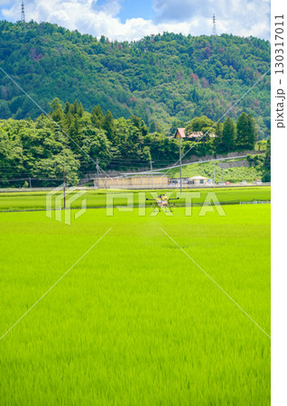 ドローンによる農薬散布【水田】 ドローンによる農薬散布【水田】 130317011