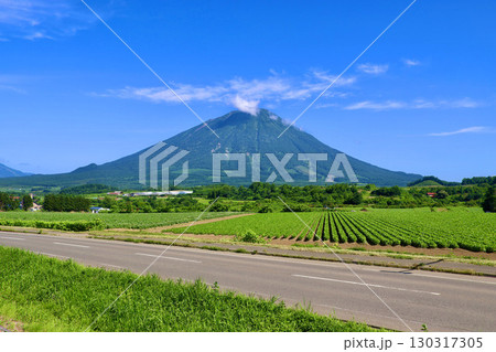 畑と羊蹄山（北海道・真狩村） 130317305