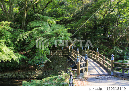 浜松城公園と日本庭園 130318149