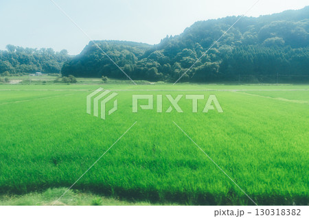 フィルム風の街並み写真 フィルム風の街並み写真 130318382