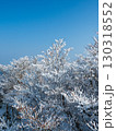 樹氷に覆われた木々、雪の花満開 130318552