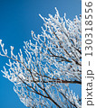 2月の御在所岳に咲く雪の花 130318556