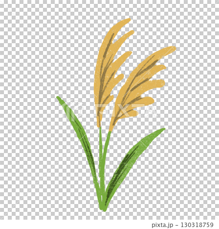 Susuki插圖 Susuki插圖 130318759