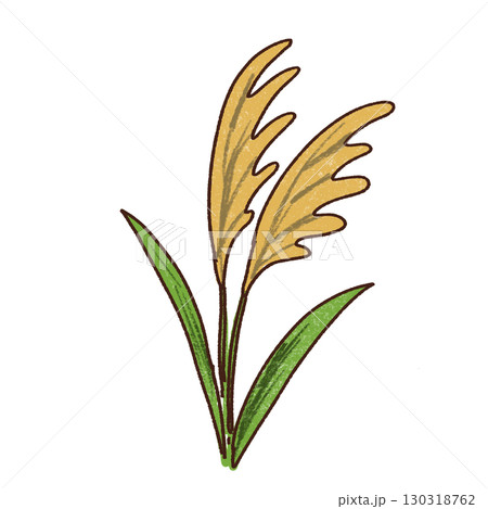 すすきのイラスト すすきのイラスト 130318762