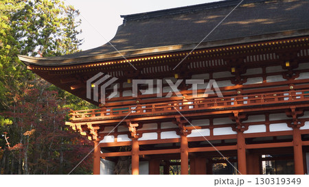 美しい高野山（紅葉,自然,和歌山） 130319349