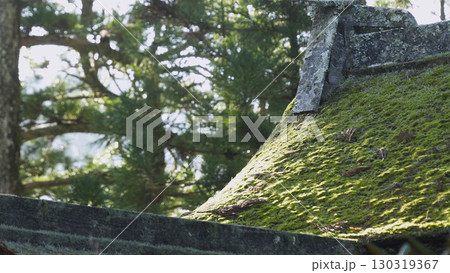 美しい高野山(紅葉,自然,和歌山) 美しい高野山(紅葉,自然,和歌山) 130319367
