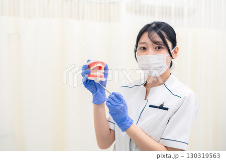 歯の模型を持つ歯科衛生士の女性 130319563