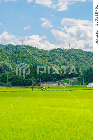 ドローンによる農薬散布【水田】 ドローンによる農薬散布【水田】 130319761