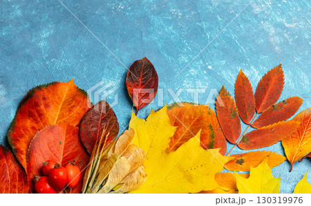 Colorful autumn leaves and berries arranged on textured blue background for seasonal decor 130319976