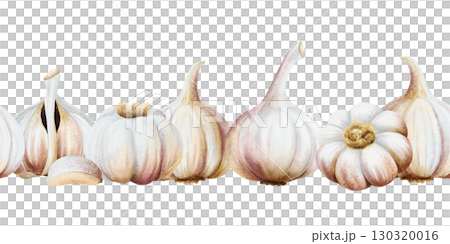 Watercolor garlic seamless border isolated on white. Whole and half bulb vegetables and cloves hand drawn horizontal banner illustration. Realistic spicy food for kitchen and culinary designs Watercolor garlic seamless border isolated on white. Whole and half bulb vegetables and cloves hand drawn horizontal banner illustration. Realistic spicy food for kitchen and culinary designs 130320016
