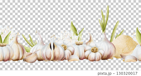 Seamless border with garlic bulbs, leave, cloves and ground powder isolated on white. Watercolor horizontal banner isolated on white with organic spice vegetables. Hand drawn botanical clip art 130320017