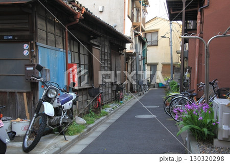紫蘭が咲く京島の路地 130320298