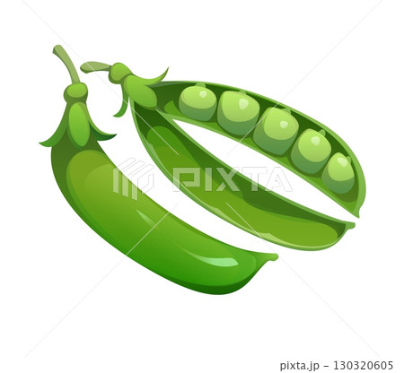 Cartoon green pea pods, isolated raw ripe vegetable. Vector one whole and one open pods with visible peas. Fresh healthy eating, gardening plants, farming produce , and vegetarian greenery food Cartoon green pea pods, isolated raw ripe vegetable. Vector one whole and one open pods with visible peas. Fresh healthy eating, gardening plants, farming produce , and vegetarian greenery food 130320605