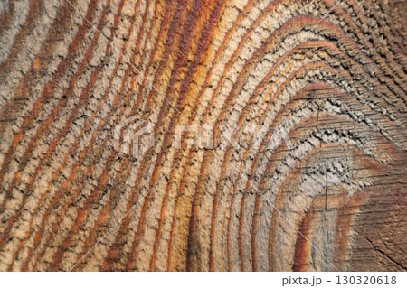 The background is made of old wood. Rustic style wallpaper. Beautiful wood texture pattern. 130320618