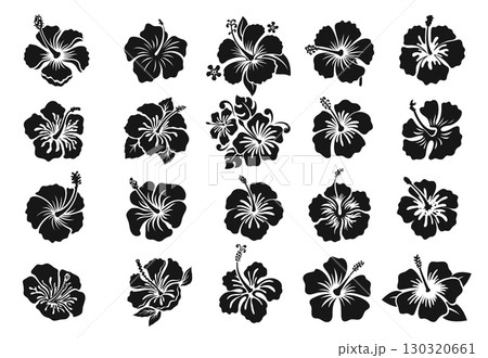 Hawaii hibiscus black stencil set, tropical flowers silhouettes, decals or tattoos. Isolated vector monochrome Hawaiian and Polynesian vegetation blooms, floral elements of nature, culture and beauty Hawaii hibiscus black stencil set, tropical flowers silhouettes, decals or tattoos. Isolated vector monochrome Hawaiian and Polynesian vegetation blooms, floral elements of nature, culture and beauty 130320661
