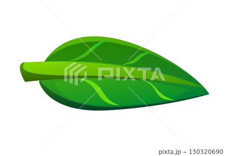 Nature green leaf font punctuation dash. Environment green leaf typeface element, nature clean ecology cartoon isolated vector latin type ark. Plant English alphabet typeset sign or ABC font symbol 130320690
