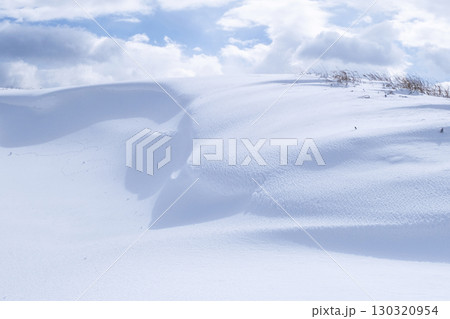 鳥取砂丘の雪景色  130320954