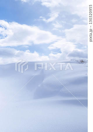 鳥取砂丘の雪景色  130320955