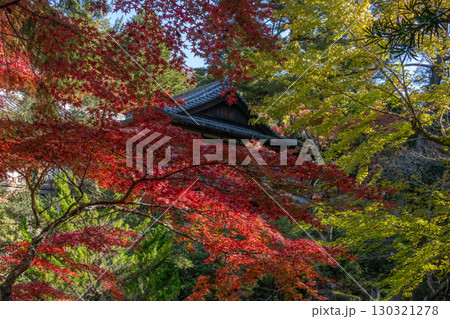 紅葉の中の隠れ家 紅葉の中の隠れ家 130321278