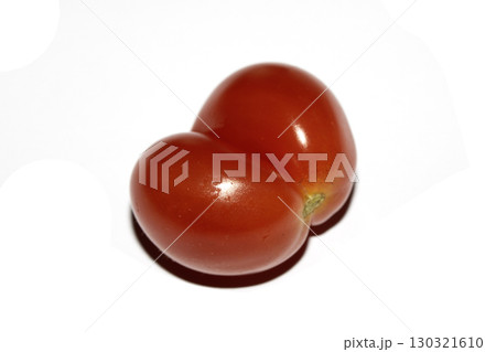 A home grown wonky conjoined tomato that looks funny on a white background 130321610